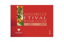 Lot de 5 : Clairefontaine 96389C - Un bloc encolle 1 cote de papier dessin Etival Grain Classic 10 feuilles 14,8x21 cm 300g, Bla