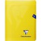 Lot de 10 : Clairefontaine 303748c - Un repertoire pique Mimesys 96 pages 17x22 cm 90g grands carreaux, couverture polypro (plas