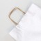 Clairefontaine 395711C - Un paquet de 25 sacs cadeau 22x10x27cm 110g, Kraft lisse Argent