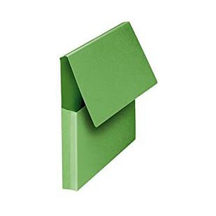 Lot de 10 : OXFORD Pochettes VIP 24x32cm Carte Kraft Epaisseur 240g Capacite 200 Feuilles Vert Vif