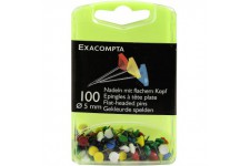 EXACOMPTA 14572E -Une boite de 100 epingles tete plate 5 mm 6 couleurs assorties