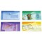 Lot de 6 : Tarifold 6 Enveloppes Porte-documents Plastique Non Perforees Fermeture Scratch Format M65 / Cheque - 6 couleurs (Bl