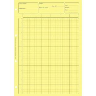 BLOC AUDIT CONTROLE INTERNE 297X210 80 P. JAUNE CARREAUX AVEC EN-TETE DOSSIER