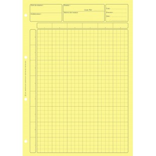 BLOC AUDIT CONTROLE INTERNE 297X210 80 P. JAUNE CARREAUX AVEC EN-TETE DOSSIER