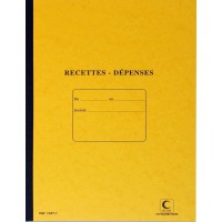 RECETTES DEPENSES 297X210 80 P PIQURE