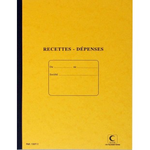 RECETTES DEPENSES 297X210 80 P PIQURE