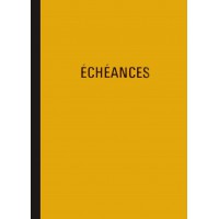 PIQURE ECHEANCIER 21.7X17 96 PAGES