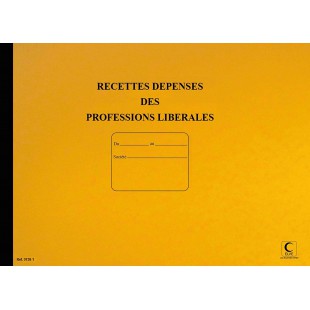 LES FACONNES PAIER - journal recette/depense profession liberale 80pages, 27x37cm assotriment couleur