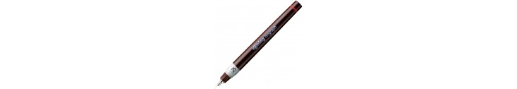 PLUME - PORTE PLUME DE CALLIGRAPHIE - CALAME - BAMBOU - ISOGRAPHE