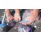43110 Streety Lot de 6 couleurs de peinture de rue a  la craie liquide lavable pour peindre avec un pinceau ou un scooter, craie