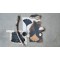 49432 - Nature Slate Stone en pot de 50 ml, peinture a base d'eau, fabriquee a partir de matieres premieres durable