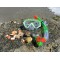 Schildkrot Bermuda Set de plongee 3 pieces pour enfant avec lunettes, tuba, palmes reglables dans differentes tailles 27-32/33-3