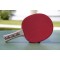 Donic-Schildkrot Champs Line 150 Raquette de Tennis de Table Mixte Enfant, Noir/Rouge/Brun