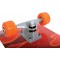 Schildkrot Skateboard (planche a  roulettes) Kicker 31", pour debutants, planche double kick concave, griptape, plateau 9 plis e