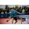 Donic-Schildkrot 733236 Top Team 600 Raquette de Tennis de Table avec poignee AVS 1,7 mm eponge Donic 2-Stern - ITTF Belag, 7332