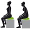Schildkrot Fitness Seat Cushion Fit, Coussin d'Equilibre Gonflable, avec Housse en Tissu et Pompe, Comprend Affiche d'Exercices,