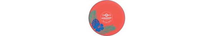 FRISBEE