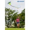 Schildkrot Classic Kite 70, Design : Crazy Bird, Forme Classique avec Tiges, 250 cm de Long, Queue de Cerf-Volant en 3 Parties, 