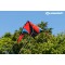 Schildkrot Stunt Kite 140, Cerf-Volant Acrobatique a  Deux Lignes, 10 Ans, 74x140cm, avec Cordons en Polyester 25 KP, 2x30m sur 