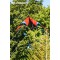 Schildkrot Stunt Kite 140, Cerf-Volant Acrobatique a  Deux Lignes, 10 Ans, 74x140cm, avec Cordons en Polyester 25 KP, 2x30m sur 