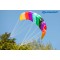 Schildkrot Cerf Volant de Sport 1.3, Aille de Traction a  Deux Lignes, 8 Ans, 55 x 125 cm, INCL. Fils en Polyester 25 KP, 2 x 25