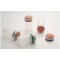 LAUREL - Humecteur Plemix, en plastique, bouteille d'eau transparente, contenance: 60 ml, protection de l'eponge con