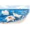 43200 - Natation 65 g 20 x 20 cm 20 Feuilles Papier Blanc