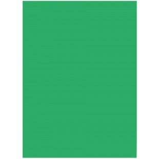 6354 - Lot de 50 feuilles de papier de couleur - Vert emeraude - Format A3-130 g/m² - Pour le bricolage et la conception creativ