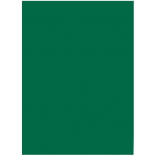 6358 - Lot de 50 Feuilles de Papier de Couleur - Vert Sapin - Format A3-130 g/m² - pour Le Bricolage et la Conception creative d