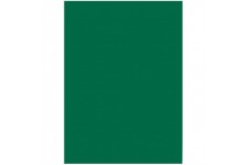 6358 - Lot de 50 Feuilles de Papier de Couleur - Vert Sapin - Format A3-130 g/m² - pour Le Bricolage et la Conception creative d