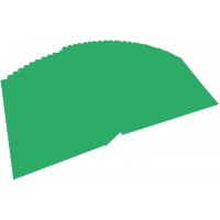 Folia Lot de 100 Feuilles de Papier colore A4 Vert emeraude (54)