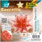 409/1515 pliable bltter Bascetta etoile rouge/imprime