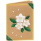 Cartes doubles : environ 10,5 x 15 cm, chacune 5 cartes (220 g/m²), enveloppes et insertions, marron naturel - Ideal pour les in