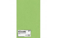 231051 Lot de 10 Feuilles de Caoutchouc Mousse Vert Clair 20 x 29 cm epaisseur 2 mm