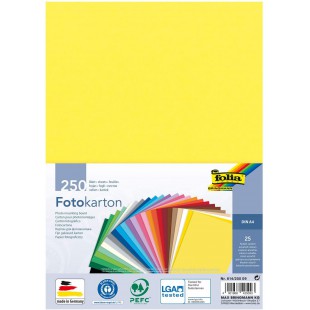 614/250 09 - Lot de 250 Feuilles cartonnees Assorties DIN A4, 300 g/m², 250 Feuilles, Assorties en 25 Couleurs, pour bricoler et