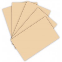 - Lot de 100 Feuilles de Papier cartonne 220 g/m² Chamois Format A4, 10263309
