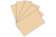 - Lot de 100 Feuilles de Papier cartonne 220 g/m² Chamois Format A4, 10263309