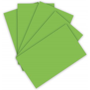 6122/4/51 Lot de 100 Feuilles de Papier cartonne 220 g/m² Vert Clair Format A4