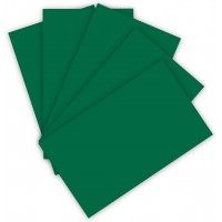 - Lot de 100 Feuilles de Papier cartonne Vert Sapin 220 g/m² pour travaux manuels, 10263332