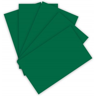 - Lot de 100 Feuilles de Papier cartonne Vert Sapin 220 g/m² pour travaux manuels, 10263332