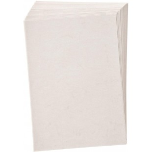 950400 folia Pack de 50 feuilles de papier peau d'elephant format A4 110 g/m² (Blanc) (Import Allemagne)