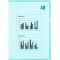 Pochettes protectrices Premium en PVC (Vert) (Import Royaume Uni)