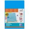 400012935 Active Folder Lot de 25 pochettes coins Format A4 Ouvert en haut et a  droite Matiere scriptible Premium - bleu (25 pi