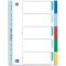 Oxford 400013909 Strong-Line Lot de 5 intercalaires en plastique avec couverture inscriptible Bleu/rouge/vert/jaune 