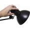 Maul MAULstudy Lampe de Bureau Noir