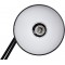 Maul MAULstudy Lampe de Bureau Noir