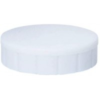 61624-02 Aimants Solid, adherence : 0,6 kg, blanc