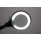 Lampe loupe LED iris 8261290 LED integree Puissance: 7 W blanc lumiere du jour N/A 7 kWh/1000h 