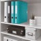 Leitz Classeur a  Levier A4 Active, Menthe, Dos Arrondi 65mm, Fixation elastique, Polyfoam Leger, WOW, 11070051