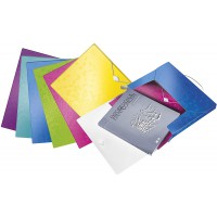 Lot de 6 : Leitz 1 Boite de Classement A4, Capacite 250 Feuilles, Dos 3 cm, Fermeture Elastique, Couleurs Assorties, WOW, 462900